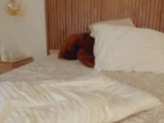 violeta-olsen webcam model stream image