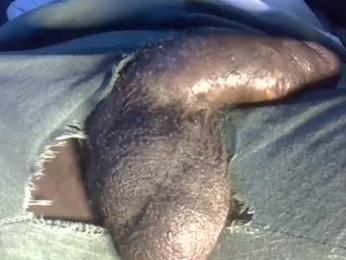 dadyschlong webcam model stream image