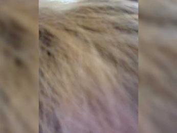 LiiBaby webcam model stream image