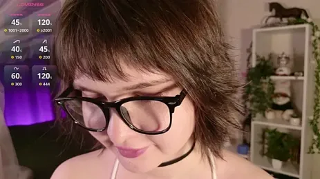LeraKit webcam model stream image