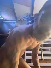 HandyBro webcam stripchat model stream image