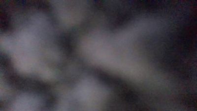 صورة بث savega2