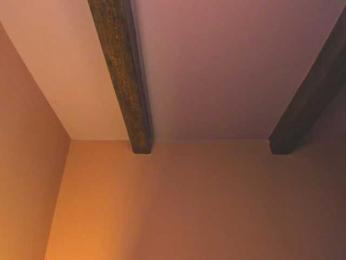 Amber-Tender webcam model stream image