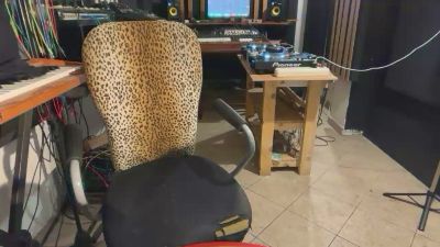 EMA_95 webcam model stream image