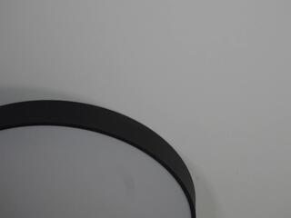 Daisey Jarvie webcam model stream image