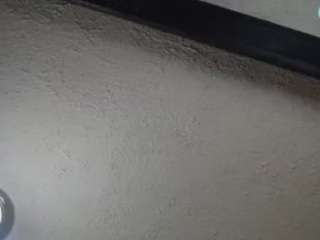 palelaram webcam model stream image