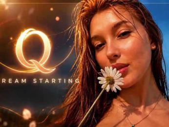 _Q_ webcam model stream image